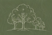 Ilustración de árboles