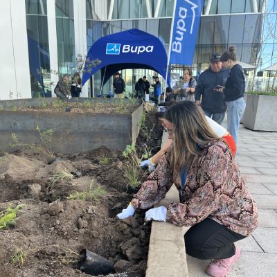 Bupa Ciudad Saludable